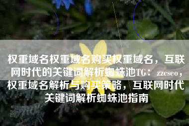 权重域名权重域名购买权重域名，互联网时代的关键词解析蜘蛛池TG：zzcseo，权重域名解析与购买策略，互联网时代关键词解析蜘蛛池指南