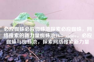 必应蜘蛛必应蜘蛛池探索必应蜘蛛，网络搜索的新力量蜘蛛池TG：zzcseo，必应蜘蛛与蜘蛛池，探索网络搜索新力量