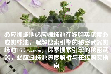 必应蜘蛛池必应蜘蛛池在线购买探索必应蜘蛛池，理解搜索引擎的秘密武器蜘蛛池TG：zzcseo，探索搜索引擎的秘密武器，必应蜘蛛池深度解析与在线购买指南
