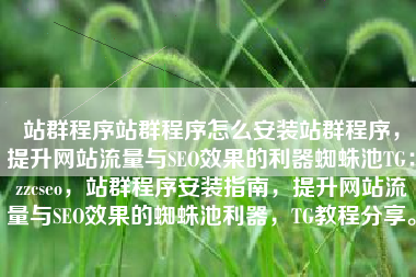 站群程序站群程序怎么安装站群程序，提升网站流量与SEO效果的利器蜘蛛池TG：zzcseo，站群程序安装指南，提升网站流量与SEO效果的蜘蛛池利器，TG教程分享。