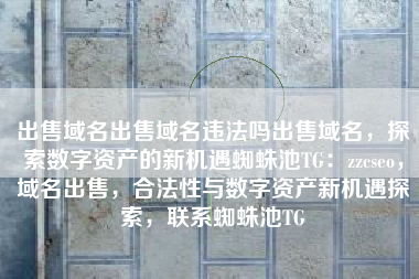 出售域名出售域名违法吗出售域名，探索数字资产的新机遇蜘蛛池TG：zzcseo，域名出售，合法性与数字资产新机遇探索，联系蜘蛛池TG