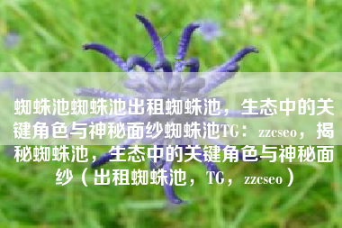 蜘蛛池蜘蛛池出租蜘蛛池，生态中的关键角色与神秘面纱蜘蛛池TG：zzcseo，揭秘蜘蛛池，生态中的关键角色与神秘面纱（出租蜘蛛池，TG，zzcseo）