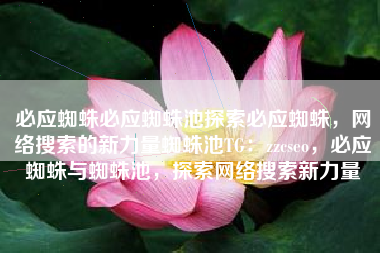 必应蜘蛛必应蜘蛛池探索必应蜘蛛，网络搜索的新力量蜘蛛池TG：zzcseo，必应蜘蛛与蜘蛛池，探索网络搜索新力量