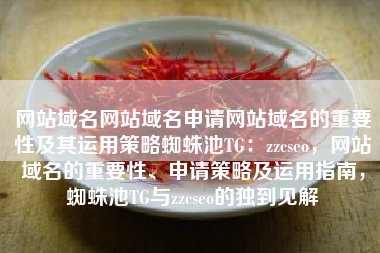 网站域名网站域名申请网站域名的重要性及其运用策略蜘蛛池TG：zzcseo，网站域名的重要性、申请策略及运用指南，蜘蛛池TG与zzcseo的独到见解