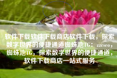 软件下载软件下载商店软件下载，探索数字世界的便捷通道蜘蛛池TG：zzcseo，蜘蛛池TG，探索数字世界的便捷通道，软件下载商店一站式服务