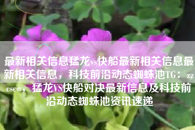 最新相关信息猛龙vs快船最新相关信息最新相关信息，科技前沿动态蜘蛛池TG：zzcseo，猛龙VS快船对决最新信息及科技前沿动态蜘蛛池资讯速递