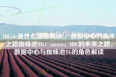 IDCidc是什么意思啊IDC，数据中心的未来之路蜘蛛池TG：zzcseo，IDC的未来之路，数据中心与蜘蛛池TG的角色解读