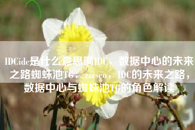 IDCidc是什么意思啊IDC，数据中心的未来之路蜘蛛池TG：zzcseo，IDC的未来之路，数据中心与蜘蛛池TG的角色解读