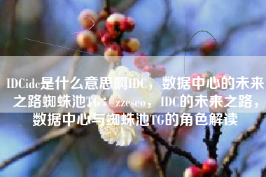 IDCidc是什么意思啊IDC，数据中心的未来之路蜘蛛池TG：zzcseo，IDC的未来之路，数据中心与蜘蛛池TG的角色解读