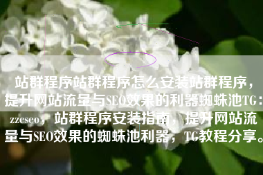 站群程序站群程序怎么安装站群程序，提升网站流量与SEO效果的利器蜘蛛池TG：zzcseo，站群程序安装指南，提升网站流量与SEO效果的蜘蛛池利器，TG教程分享。