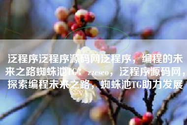 泛程序泛程序源码网泛程序，编程的未来之路蜘蛛池TG：zzcseo，泛程序源码网，探索编程未来之路，蜘蛛池TG助力发展