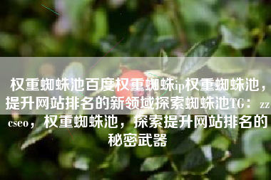 权重蜘蛛池百度权重蜘蛛ip权重蜘蛛池，提升网站排名的新领域探索蜘蛛池TG：zzcseo，权重蜘蛛池，探索提升网站排名的秘密武器