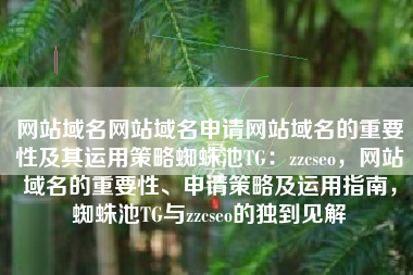 网站域名网站域名申请网站域名的重要性及其运用策略蜘蛛池TG：zzcseo，网站域名的重要性、申请策略及运用指南，蜘蛛池TG与zzcseo的独到见解