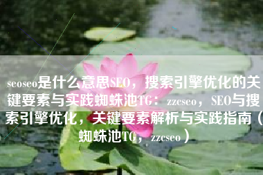 seoseo是什么意思SEO，搜索引擎优化的关键要素与实践蜘蛛池TG：zzcseo，SEO与搜索引擎优化，关键要素解析与实践指南（蜘蛛池TG，zzcseo）