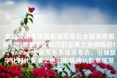 全新发布系统新系统发布会全新发布系统，引领数字化时代的变革之道蜘蛛池TG：zzcseo，全新发布系统发布会，引领数字化时代变革之道的蜘蛛池TG新系统发布