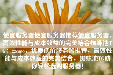便宜服务器便宜服务器推荐便宜服务器，高效性能与成本效益的完美结合蜘蛛池TG：zzcseo，优质低价服务器推荐，高效性能与成本效益的完美结合，蜘蛛池TG助你轻松选购服务器！