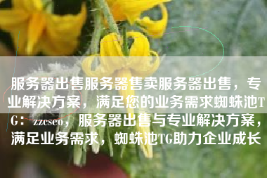 服务器出售服务器售卖服务器出售，专业解决方案，满足您的业务需求蜘蛛池TG：zzcseo，服务器出售与专业解决方案，满足业务需求，蜘蛛池TG助力企业成长