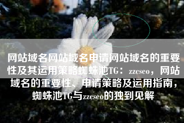 网站域名网站域名申请网站域名的重要性及其运用策略蜘蛛池TG：zzcseo，网站域名的重要性、申请策略及运用指南，蜘蛛池TG与zzcseo的独到见解