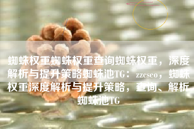 蜘蛛权重蜘蛛权重查询蜘蛛权重，深度解析与提升策略蜘蛛池TG：zzcseo，蜘蛛权重深度解析与提升策略，查询、解析蜘蛛池TG