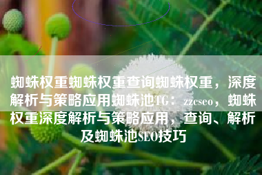 蜘蛛权重蜘蛛权重查询蜘蛛权重，深度解析与策略应用蜘蛛池TG：zzcseo，蜘蛛权重深度解析与策略应用，查询、解析及蜘蛛池SEO技巧