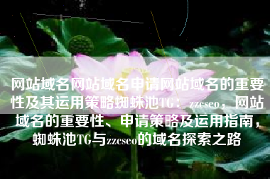 网站域名网站域名申请网站域名的重要性及其运用策略蜘蛛池TG：zzcseo，网站域名的重要性、申请策略及运用指南，蜘蛛池TG与zzcseo的域名探索之路