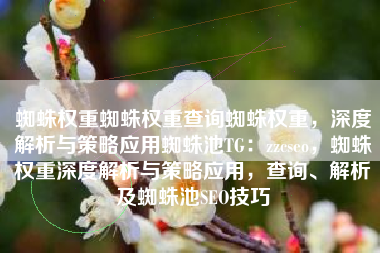 蜘蛛权重蜘蛛权重查询蜘蛛权重，深度解析与策略应用蜘蛛池TG：zzcseo，蜘蛛权重深度解析与策略应用，查询、解析及蜘蛛池SEO技巧