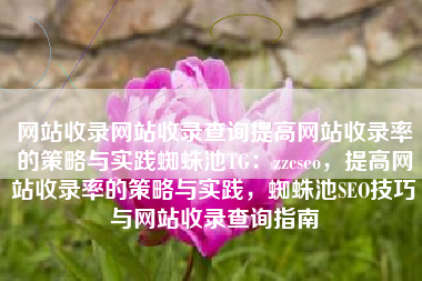网站收录网站收录查询提高网站收录率的策略与实践蜘蛛池TG：zzcseo，提高网站收录率的策略与实践，蜘蛛池SEO技巧与网站收录查询指南