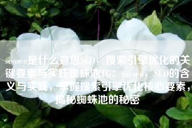 seoseo是什么意思SEO，搜索引擎优化的关键要素与实践蜘蛛池TG：zzcseo，SEO的含义与实践，掌握搜索引擎优化核心要素，揭秘蜘蛛池的秘密