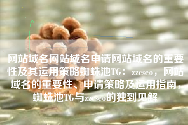 网站域名网站域名申请网站域名的重要性及其运用策略蜘蛛池TG：zzcseo，网站域名的重要性、申请策略及运用指南，蜘蛛池TG与zzcseo的独到见解