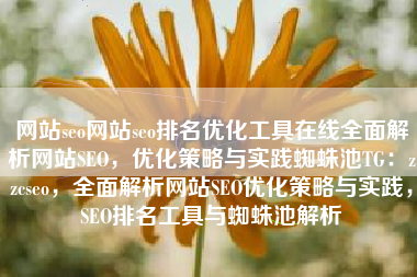 网站seo网站seo排名优化工具在线全面解析网站SEO，优化策略与实践蜘蛛池TG：zzcseo，全面解析网站SEO优化策略与实践，SEO排名工具与蜘蛛池解析