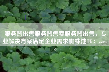 服务器出售服务器售卖服务器出售，专业解决方案满足企业需求蜘蛛池TG：zzcseo