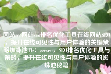 网站seo网站seo排名优化工具在线网站SEO，提升在线可见性与用户体验的关键策略蜘蛛池TG：zzcseo，SEO排名优化工具与策略，提升在线可见性与用户体验的蜘蛛池秘籍