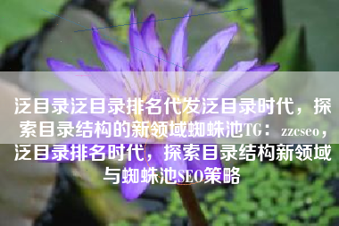 泛目录泛目录排名代发泛目录时代，探索目录结构的新领域蜘蛛池TG：zzcseo，泛目录排名时代，探索目录结构新领域与蜘蛛池SEO策略