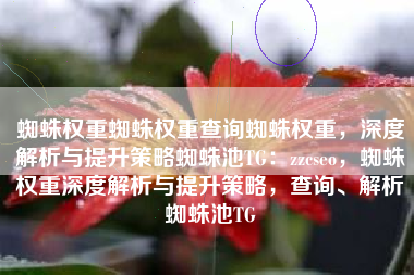蜘蛛权重蜘蛛权重查询蜘蛛权重，深度解析与提升策略蜘蛛池TG：zzcseo，蜘蛛权重深度解析与提升策略，查询、解析蜘蛛池TG