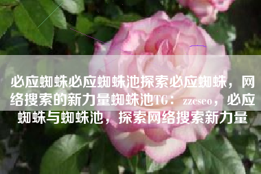 必应蜘蛛必应蜘蛛池探索必应蜘蛛，网络搜索的新力量蜘蛛池TG：zzcseo，必应蜘蛛与蜘蛛池，探索网络搜索新力量