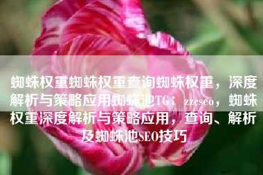 蜘蛛权重蜘蛛权重查询蜘蛛权重，深度解析与策略应用蜘蛛池TG：zzcseo，蜘蛛权重深度解析与策略应用，查询、解析及蜘蛛池SEO技巧
