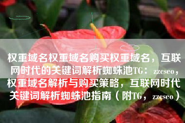 权重域名权重域名购买权重域名，互联网时代的关键词解析蜘蛛池TG：zzcseo，权重域名解析与购买策略，互联网时代关键词解析蜘蛛池指南（附TG，zzcseo）