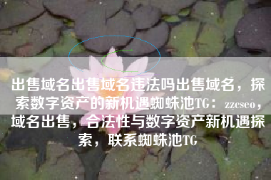 出售域名出售域名违法吗出售域名，探索数字资产的新机遇蜘蛛池TG：zzcseo，域名出售，合法性与数字资产新机遇探索，联系蜘蛛池TG