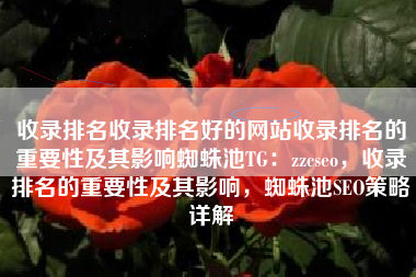 收录排名收录排名好的网站收录排名的重要性及其影响蜘蛛池TG：zzcseo，收录排名的重要性及其影响，蜘蛛池SEO策略详解