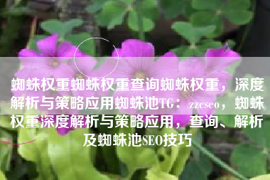 蜘蛛权重蜘蛛权重查询蜘蛛权重，深度解析与策略应用蜘蛛池TG：zzcseo，蜘蛛权重深度解析与策略应用，查询、解析及蜘蛛池SEO技巧