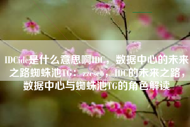 IDCidc是什么意思啊IDC，数据中心的未来之路蜘蛛池TG：zzcseo，IDC的未来之路，数据中心与蜘蛛池TG的角色解读