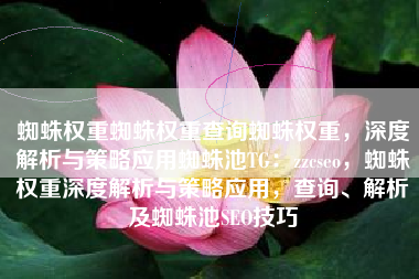 蜘蛛权重蜘蛛权重查询蜘蛛权重，深度解析与策略应用蜘蛛池TG：zzcseo，蜘蛛权重深度解析与策略应用，查询、解析及蜘蛛池SEO技巧