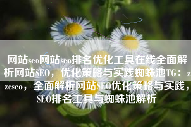 网站seo网站seo排名优化工具在线全面解析网站SEO，优化策略与实践蜘蛛池TG：zzcseo，全面解析网站SEO优化策略与实践，SEO排名工具与蜘蛛池解析