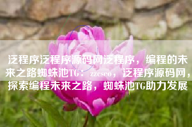 泛程序泛程序源码网泛程序，编程的未来之路蜘蛛池TG：zzcseo，泛程序源码网，探索编程未来之路，蜘蛛池TG助力发展