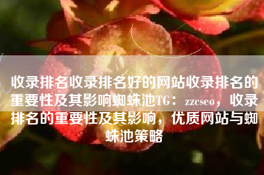 收录排名收录排名好的网站收录排名的重要性及其影响蜘蛛池TG：zzcseo，收录排名的重要性及其影响，优质网站与蜘蛛池策略
