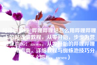 站详细教程_哔哩哔哩站怎么用哔哩哔哩上的站详细教程，从零开始，步步为营蜘蛛池TG：zzcseo，从零开始的哔哩哔哩站使用指南，详细教程与蜘蛛池技巧分享（附TG，zzcseo）