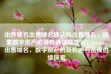 出售域名出售域名违法吗出售域名，探索数字资产的新机遇蜘蛛池TG：zzcseo，出售域名，数字资产的新机遇与法规边缘探索