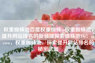 权重蜘蛛池百度权重蜘蛛ip权重蜘蛛池，提升网站排名的新领域探索蜘蛛池TG：zzcseo，权重蜘蛛池，探索提升网站排名的秘密武器