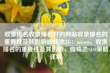 收录排名收录排名好的网站收录排名的重要性及其影响蜘蛛池TG：zzcseo，收录排名的重要性及其影响，蜘蛛池SEO策略详解
