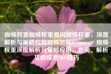 蜘蛛权重蜘蛛权重查询蜘蛛权重，深度解析与策略应用蜘蛛池TG：zzcseo，蜘蛛权重深度解析与策略应用，查询、解析及蜘蛛池SEO技巧